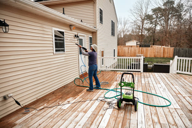 Best Power Washing Near Me  in Stevensville, MI