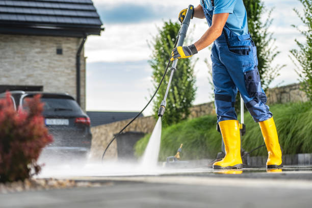 Best Sidewalk Pressure Washing  in Stevensville, MI