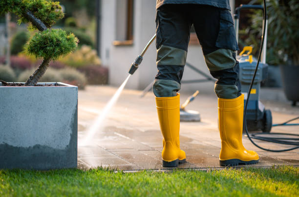 Best Affordable Power Washing  in Stevensville, MI